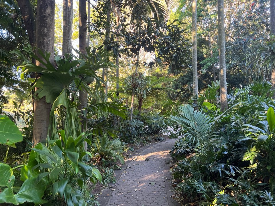 City Botanic Gardens