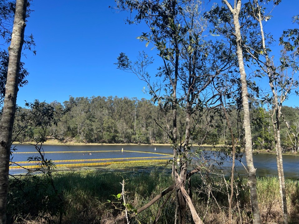 Enoggera Reservoir à Brisbane