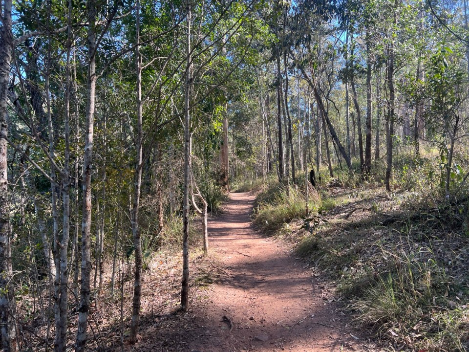 Enoggera Reservoir à Brisbane