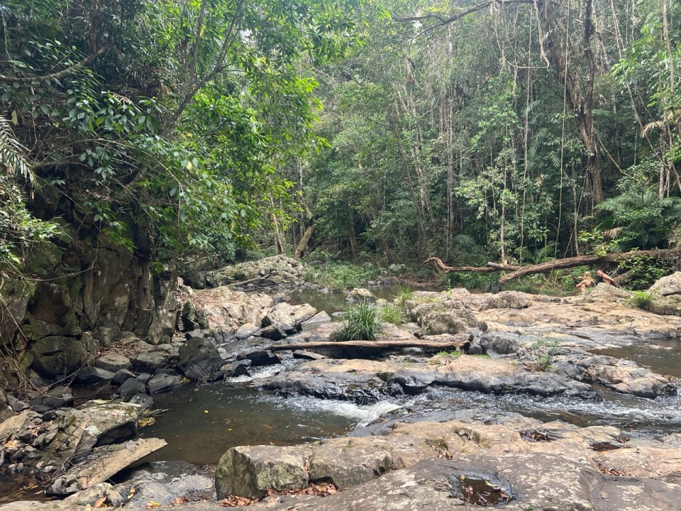 visite de Kuranda, le village niché dans la forêt tropicale en Australie