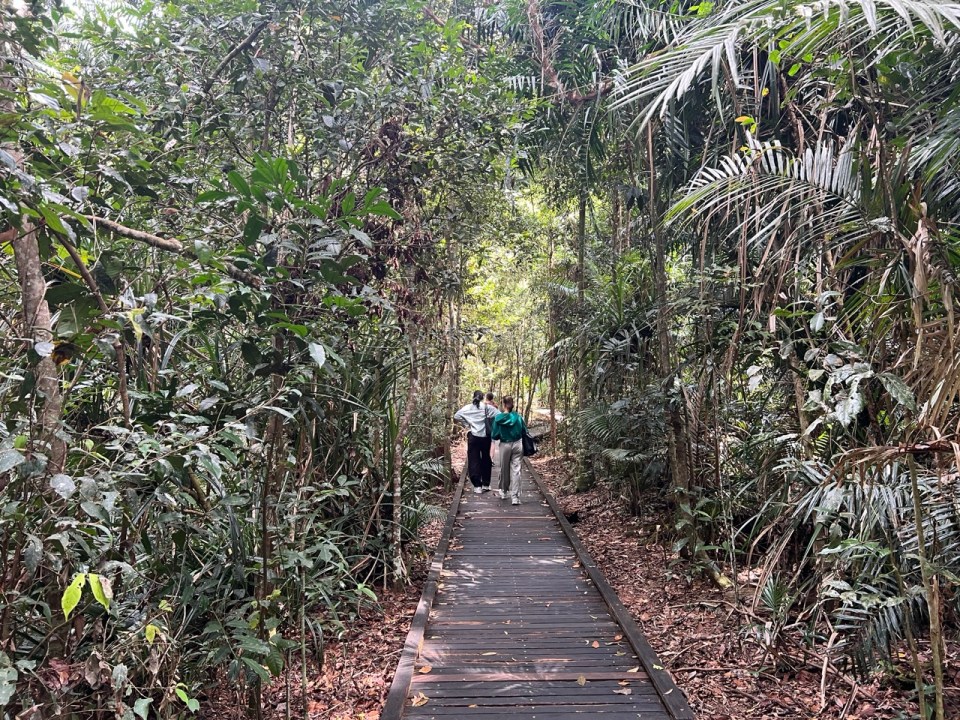 visite de Kuranda, le village niché dans la forêt tropicale en Australie