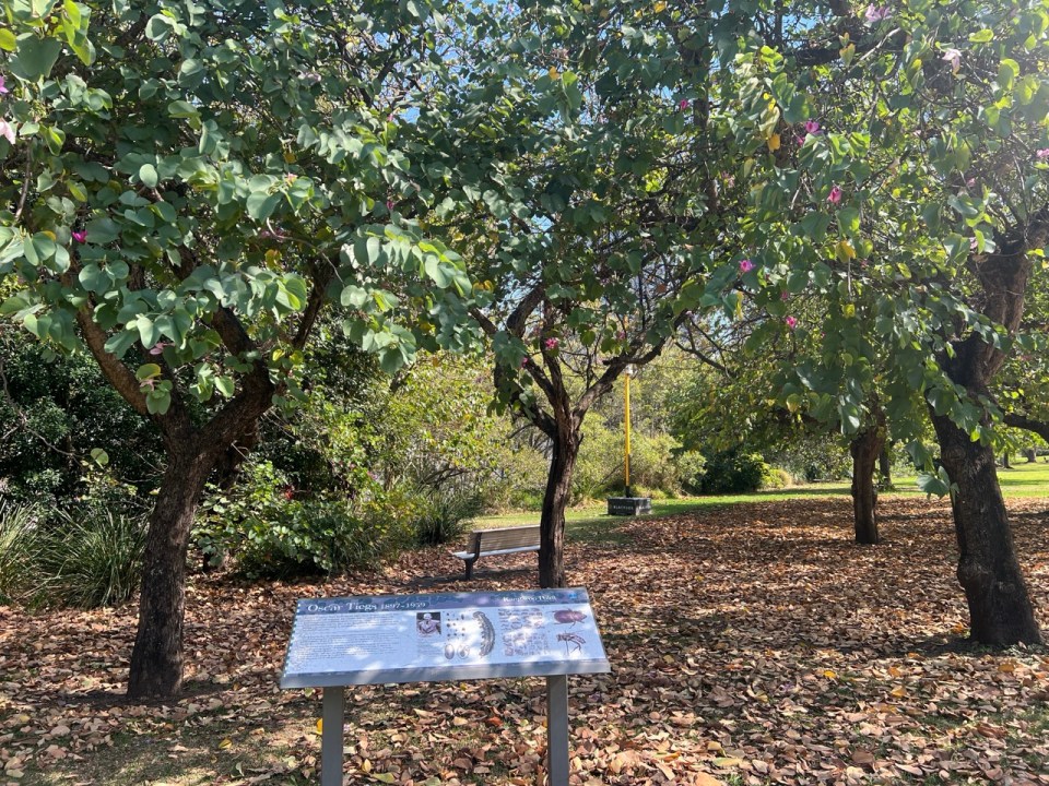 Kangaroo Point Natural History Trail