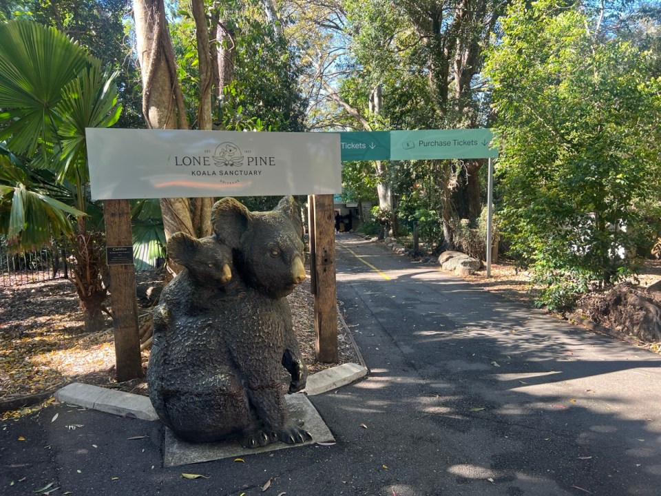 Lone Pine Koala Sanctuary