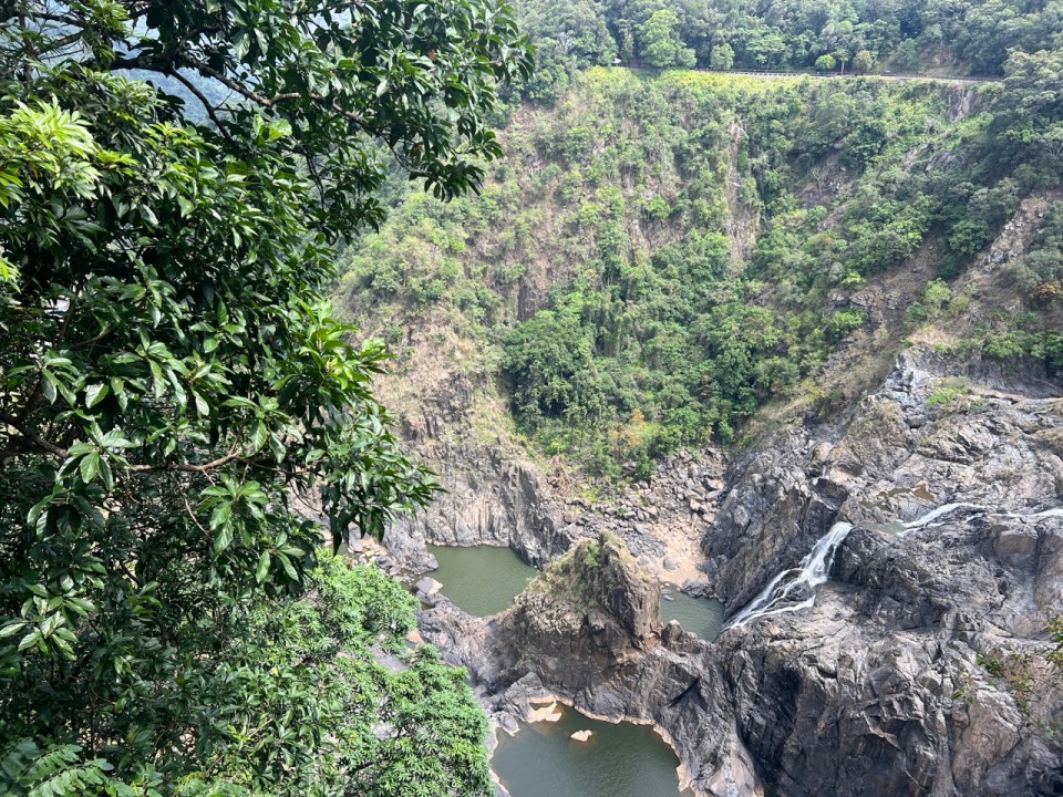 Skyrail Rainforest Cableway à Kurunda