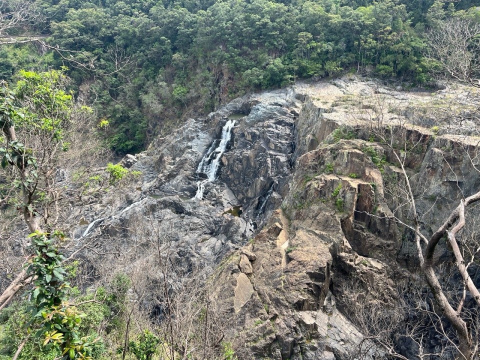 Skyrail Rainforest Cableway à Kurunda