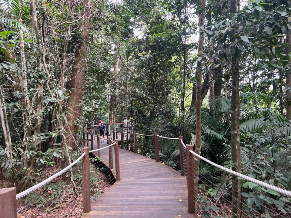Skyrail Rainforest Cableway à Kurunda