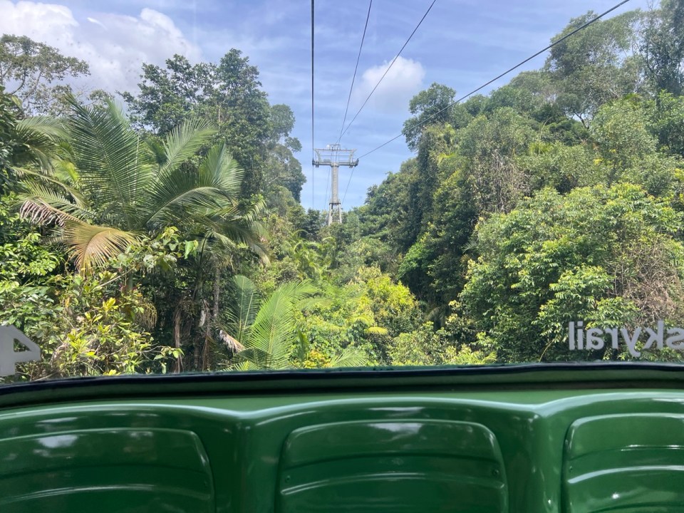 Skyrail Rainforest Cableway à Kurunda