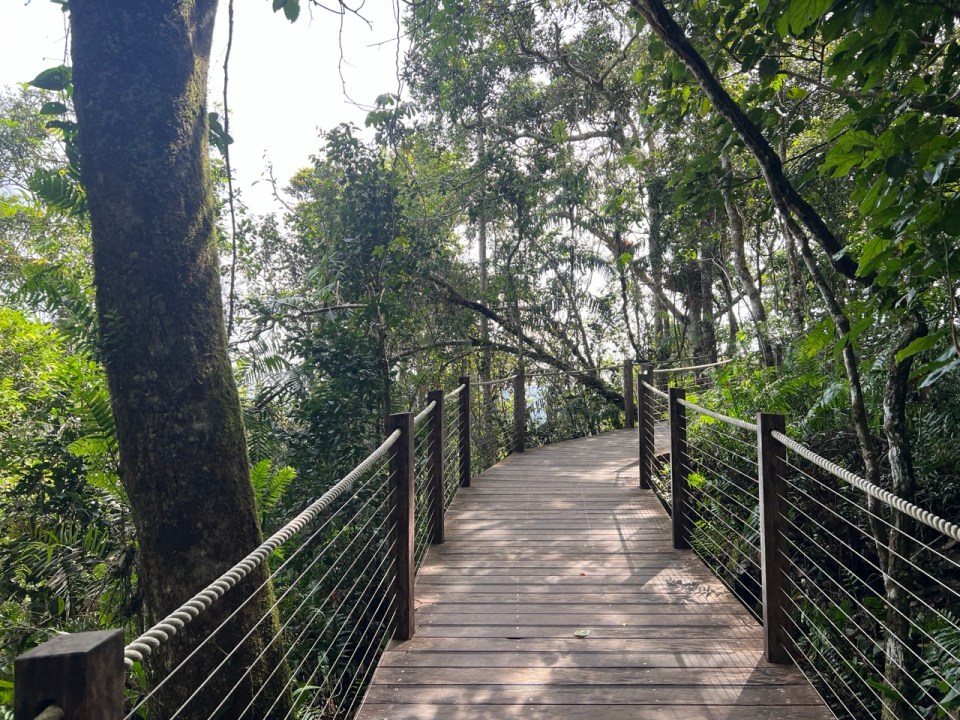 Skyrail Rainforest Cableway à Kurunda