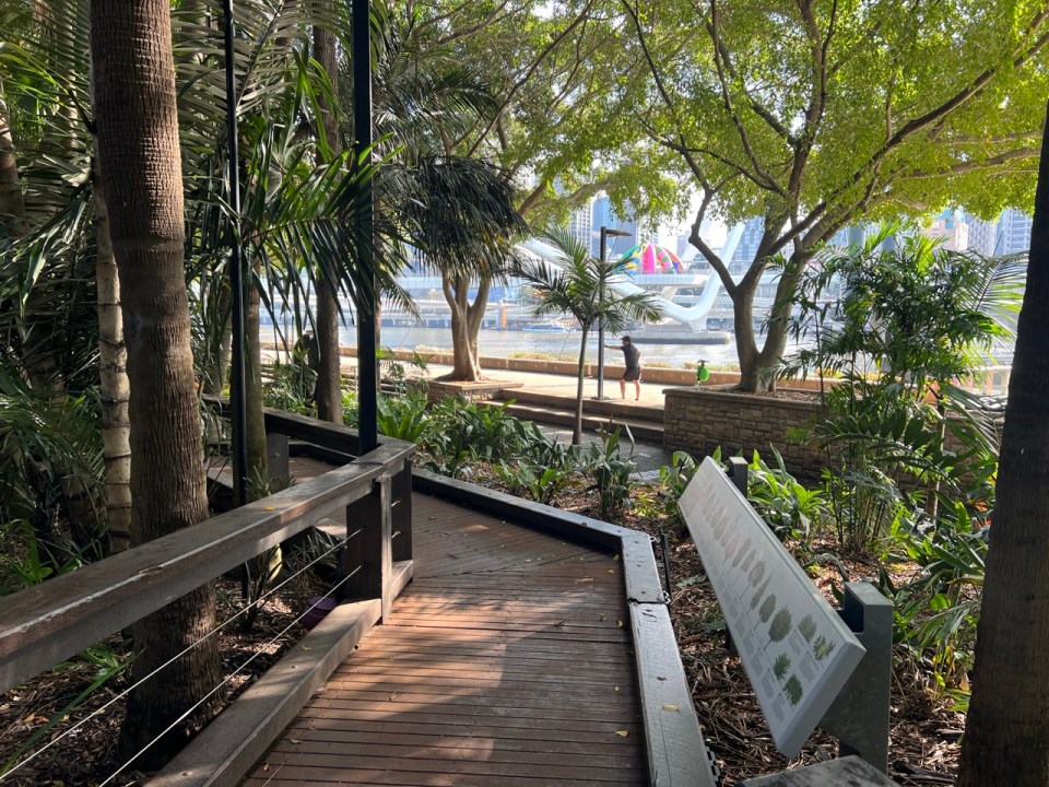 Rainforest Walk à Brisbane 