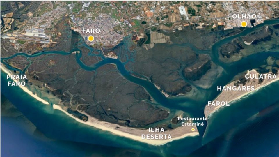 Croisière en catamaran sur l'île Deserta et l'île de Farol