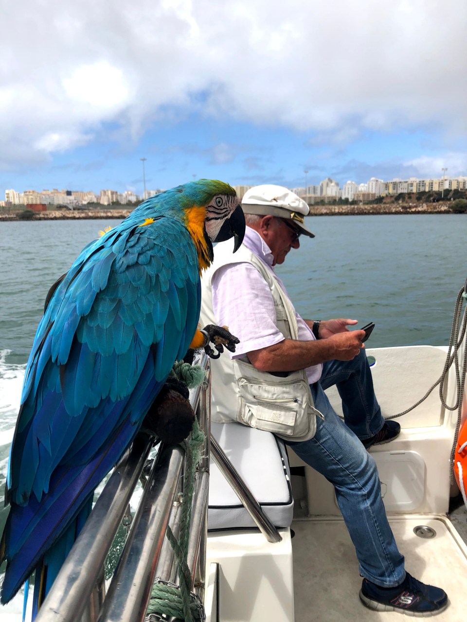 Road trip en Algarve:  de Portimão à Lagoa