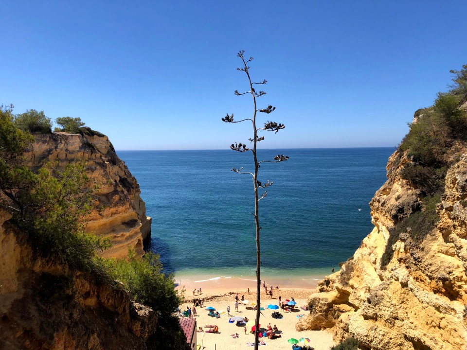 Praia de Marinha 