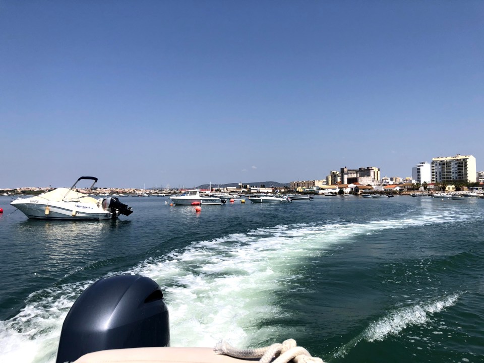 Croisière en catamaran sur l'île Deserta et l'île de Farol