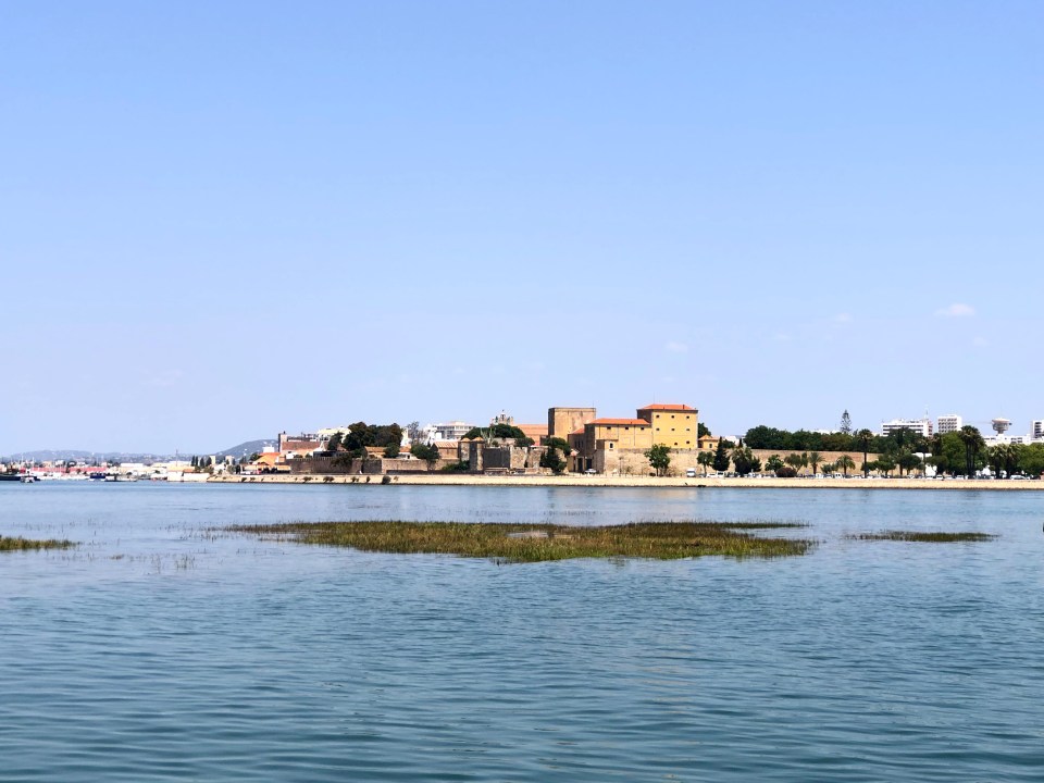 Croisière en catamaran sur l'île Deserta et l'île de Farol