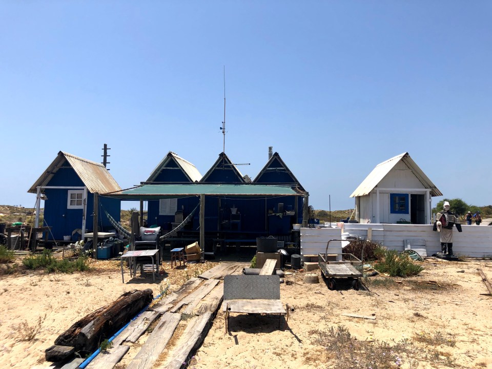 Croisière en catamaran sur l'île Deserta et l'île de Farol